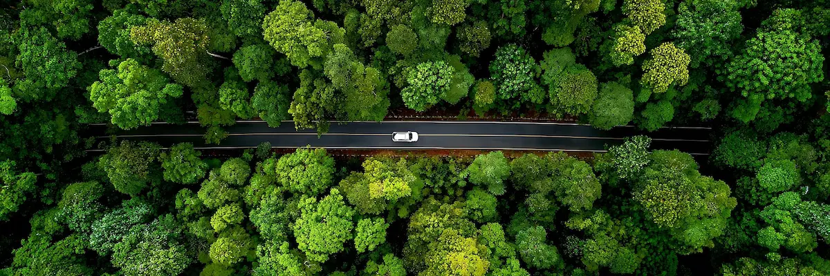 Badanie Continental: kierowcy stawiają na komfort i piękne trasy